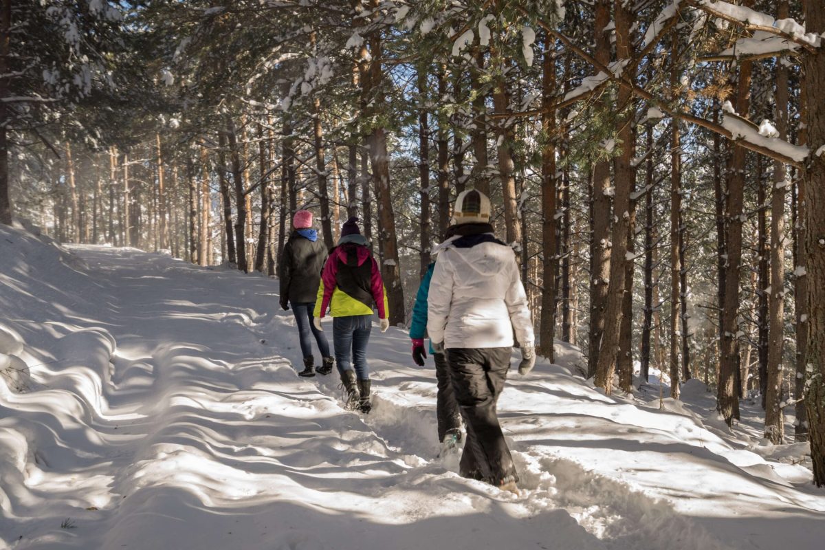 Three people hikinging Oregon Winter.